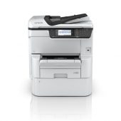 cat-epson